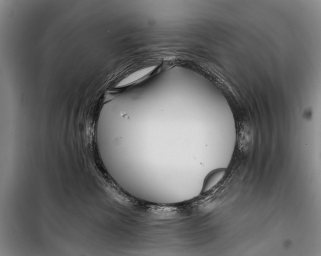 X0000098200476200805151233