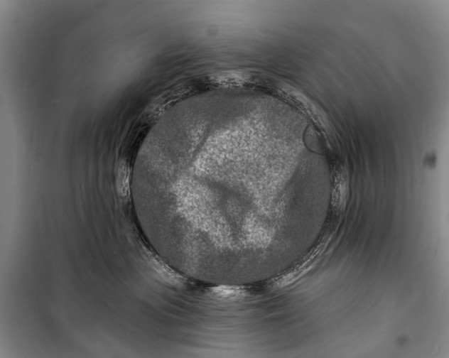 X0000098200477200805151233