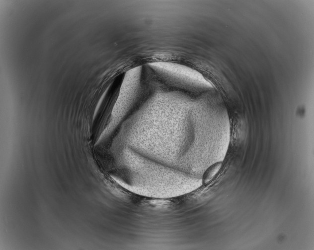 X0000098200478200805151233