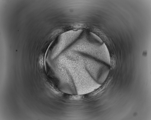 X0000098200479200805151233