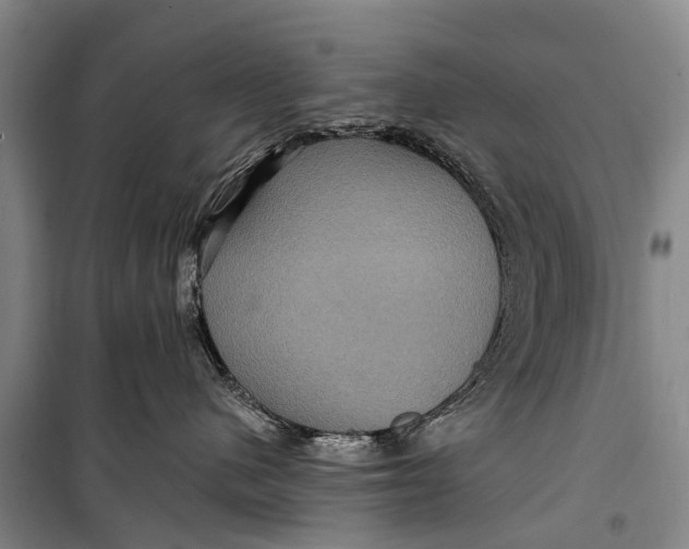 X0000098200480200805151233