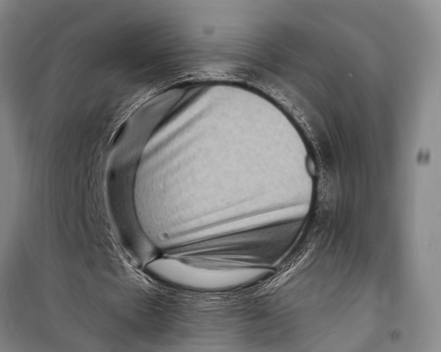 X0000098200481200805151232