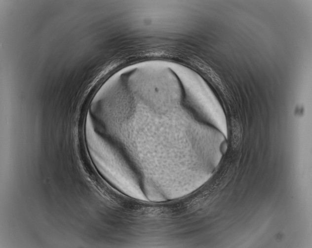 X0000098200482200805151232