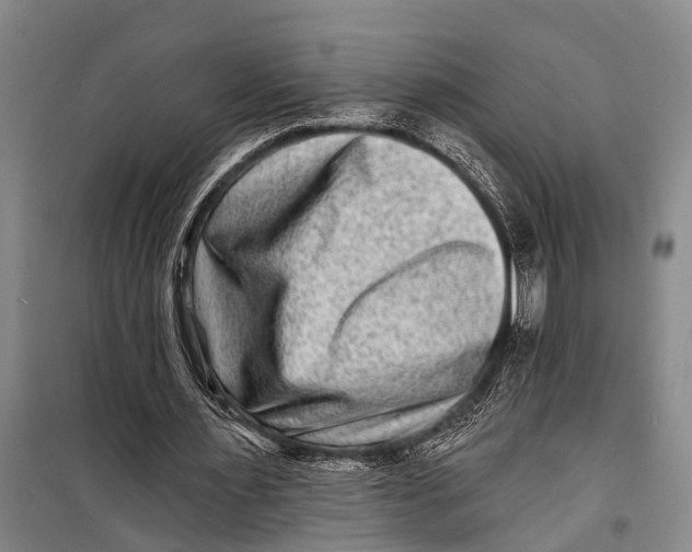 X0000098200483200805151232