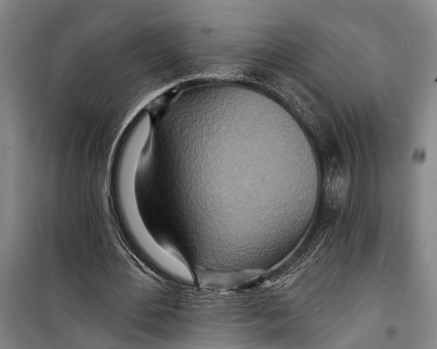 X0000098200484200805151232