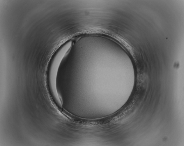 X0000098200485200805151232