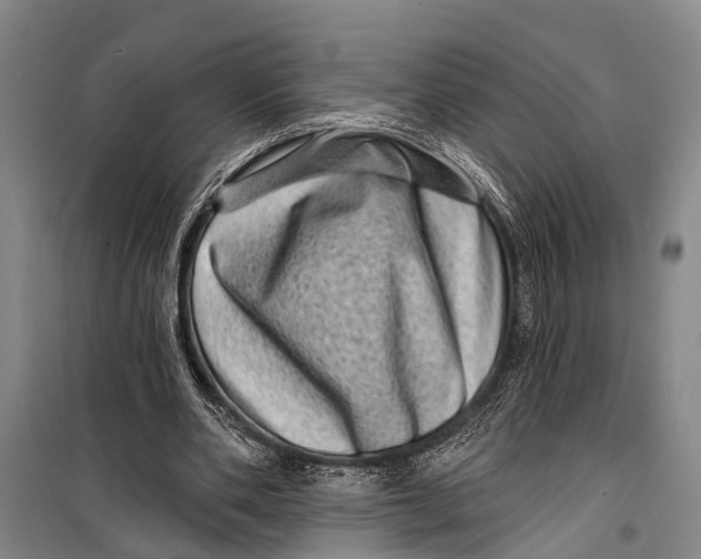 X0000098200486200805151232