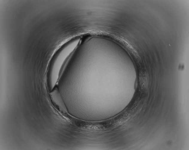 X0000098200488200805151232
