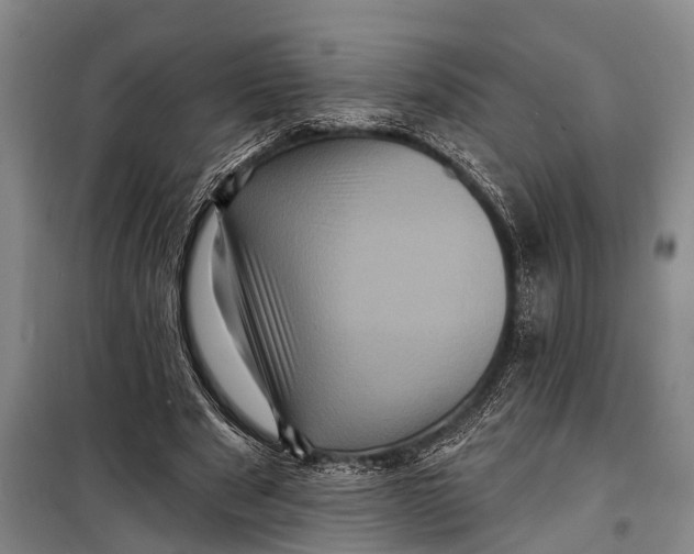 X0000098200489200805151232