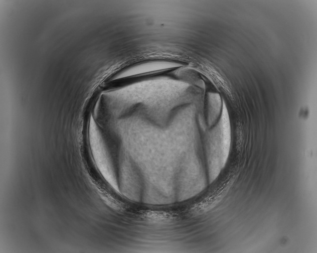 X0000098200490200805151232