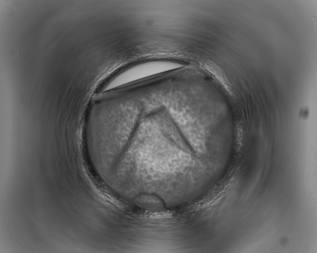 X0000098200491200805151232