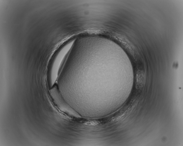 X0000098200492200805151232