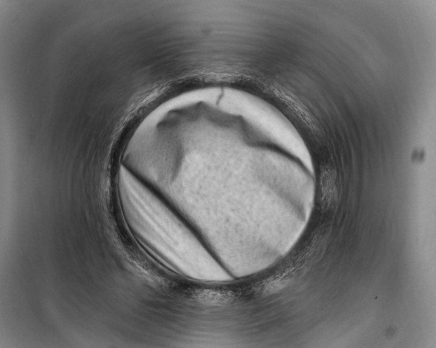 X0000098200494200805151232