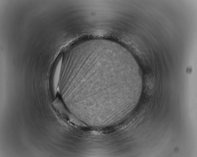 X0000098200496200805151232
