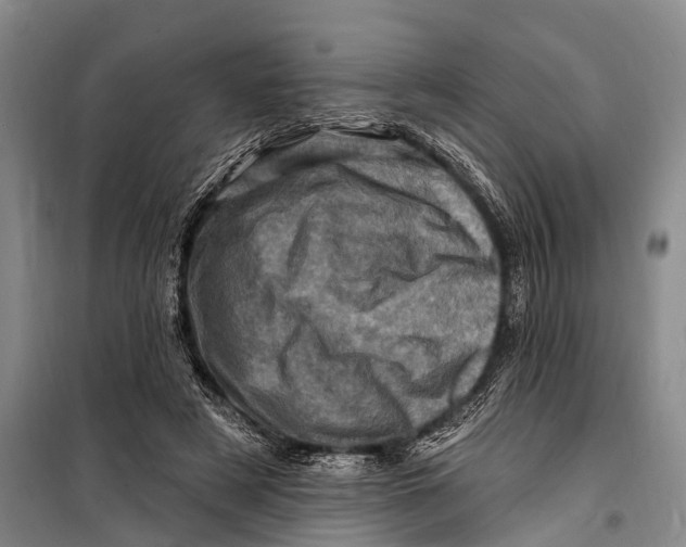 X0000098200497200805151232
