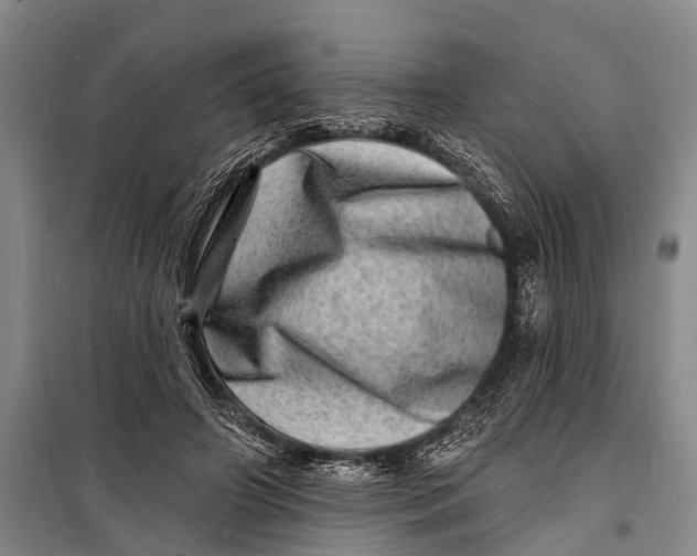 X0000098200498200805151232