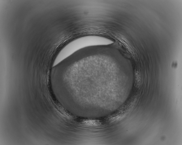 X0000098200499200805151232