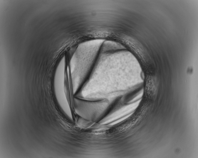 X0000098200501200805151232