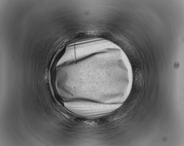 X0000098200502200805151232