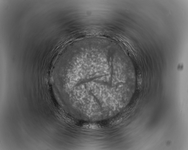 X0000098200503200805151232