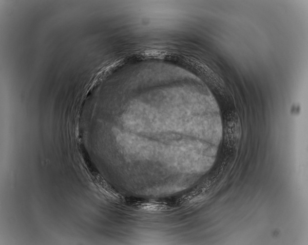 X0000098200504200805151232