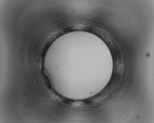 X0000098200505200805151232