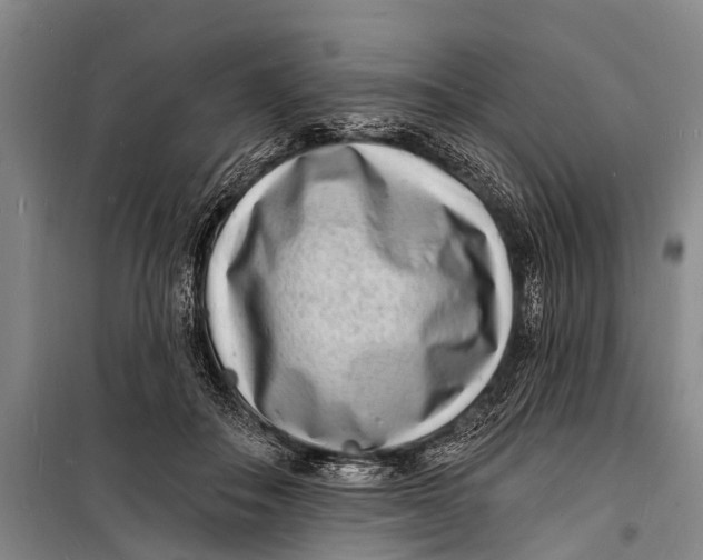 X0000098200506200805151232