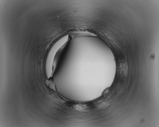 X0000098200508200805151232