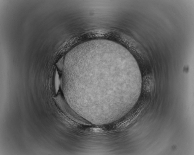 X0000098200509200805151232