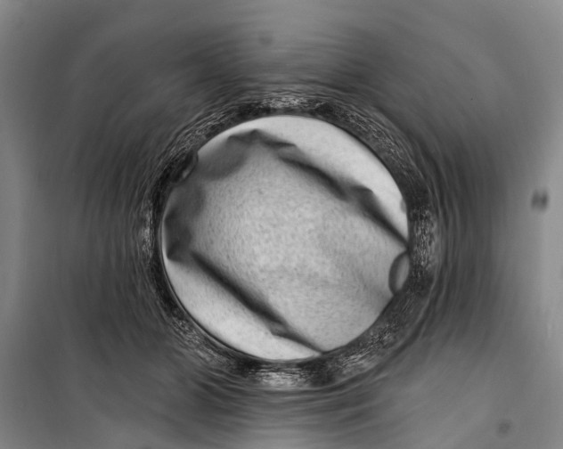 X0000098200510200805151232