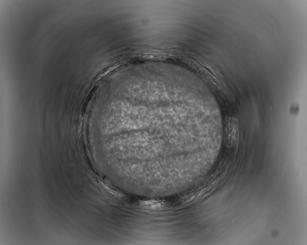 X0000098200511200805151232