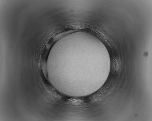 X0000098200512200805151232