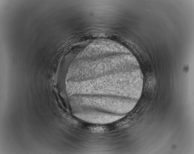 X0000098200513200805151232