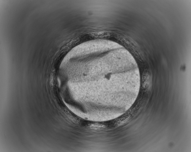 X0000098200515200805151232