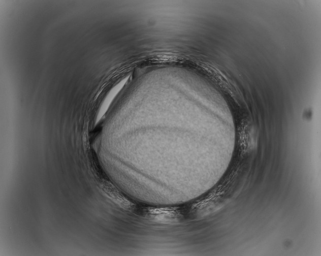 X0000098200516200805151232