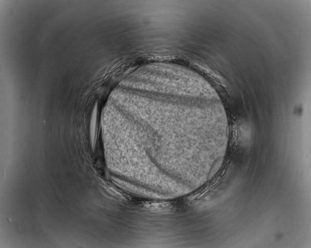 X0000098200517200805151232