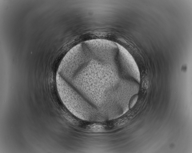 X0000098200518200805151232