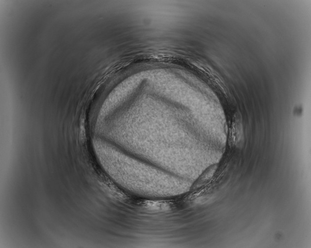X0000098200520200805151232
