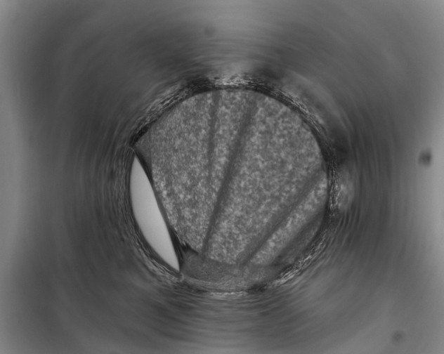 X0000098200521200805151232