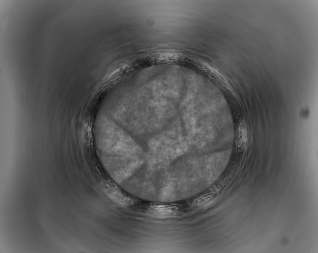 X0000098200522200805151232