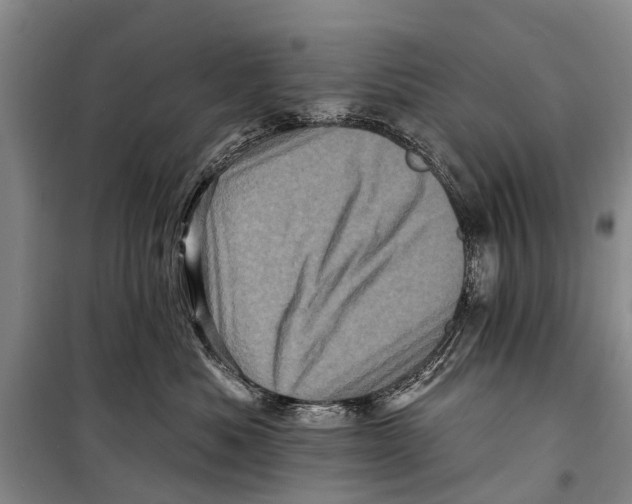 X0000098200525200805151232