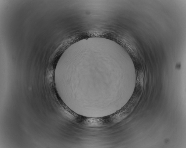 X0000098200526200805151232