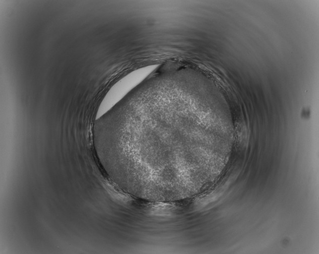 X0000098200527200805151231