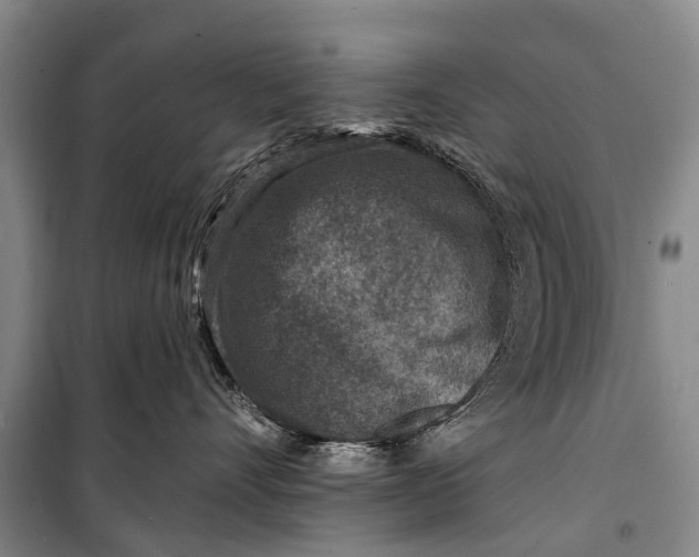 X0000098200528200805151231