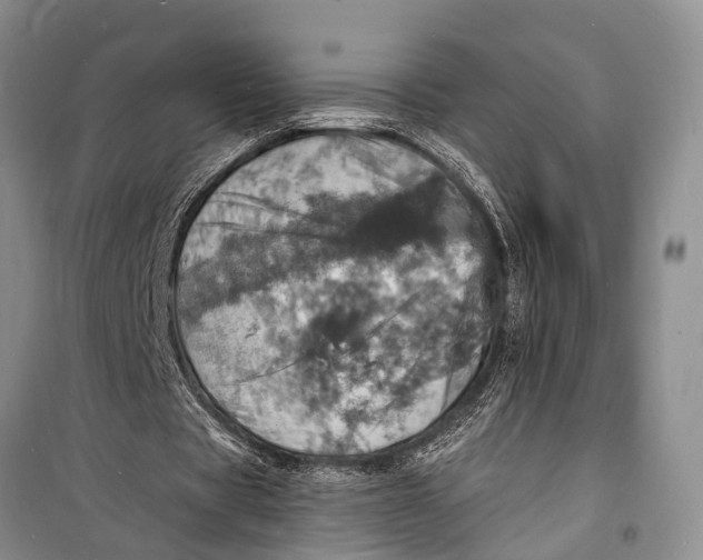 X0000098200529200805151231