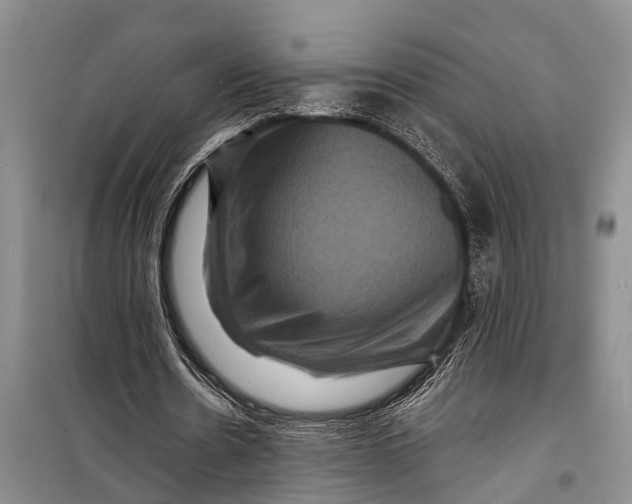 X0000098200530200805151231