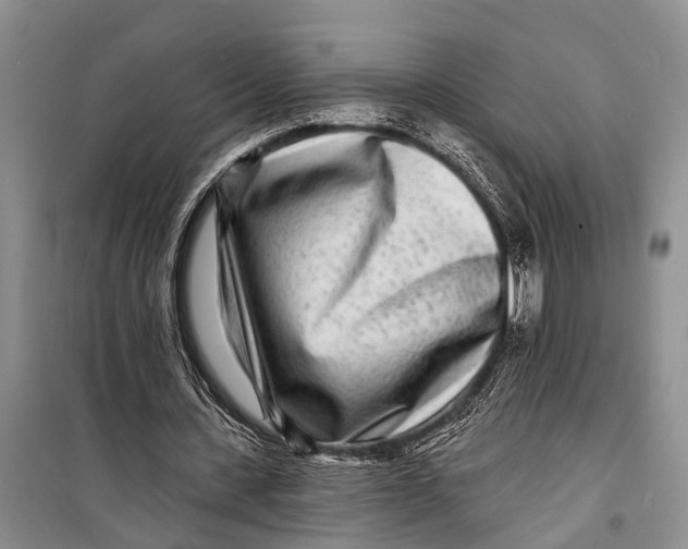 X0000098200531200805151231