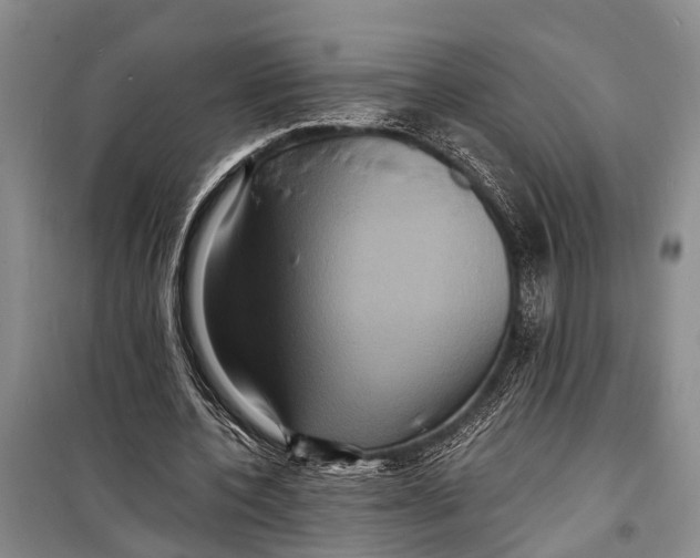 X0000098200532200805151231