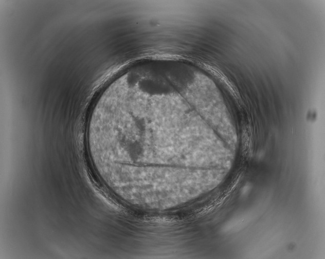 X0000098200533200805151231