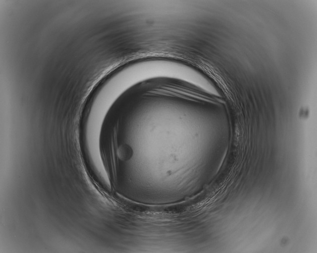 X0000098200534200805151231